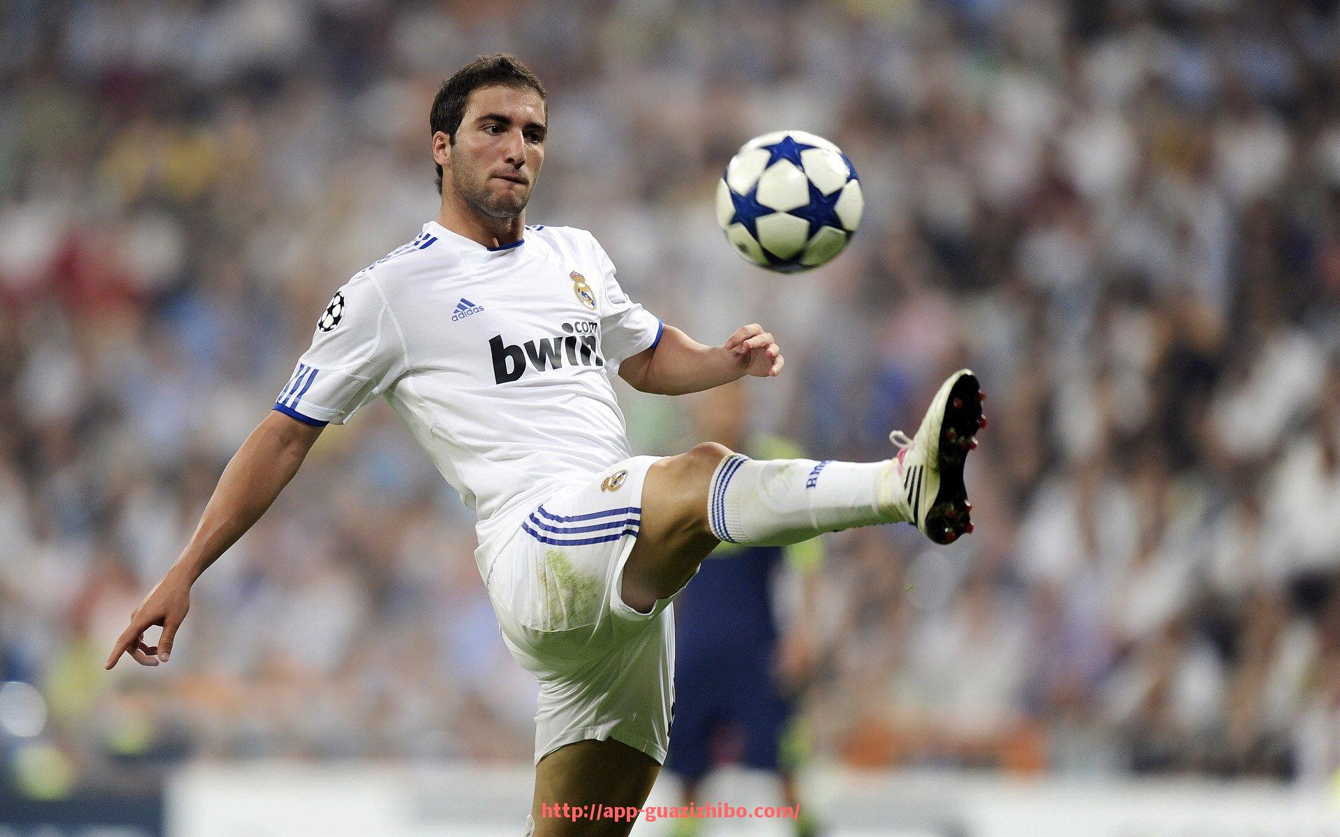 瓜子直播-欧冠篮球数据全汇总：赛季统计与关键球员表现